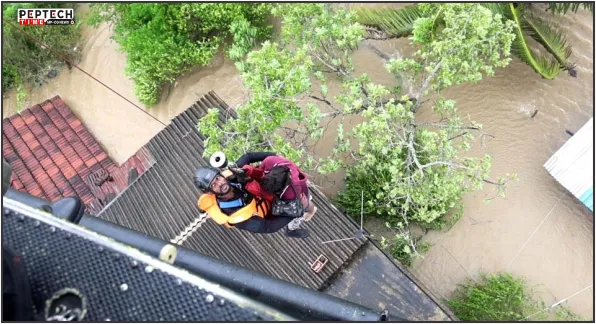 international international